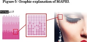 Figure 5: Graphic explanation of MAPS3. MAPS ON